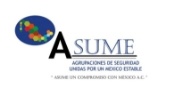 programas-in-company-up-mx-asume